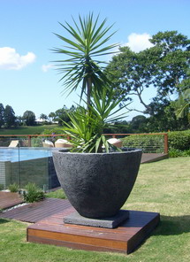 Potanico - creators of large designer landscape Pots. Big garden architectural pots horticulturally designed for trees and large plants.